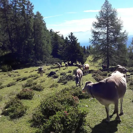 Schlickeralm 1.616 M Penzion Fulpmes