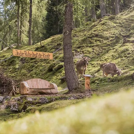 Schlickeralm 1.616 M 3* Fulpmes